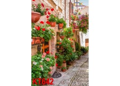 Tranh Kiến Trúc KT642