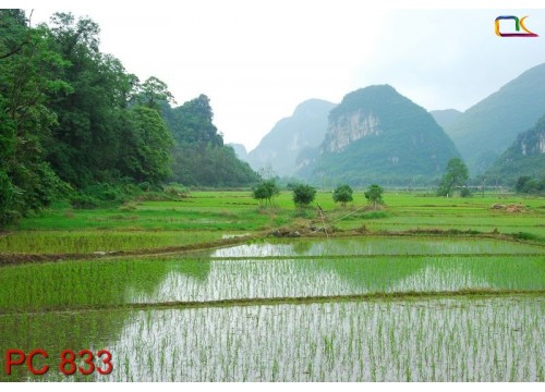 Tranh Phong Cảnh PC833