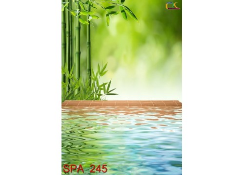 Tranh Spa SPA245