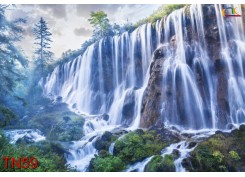 Tranh Thác Nước TN59