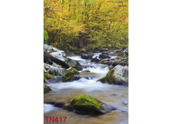 Tranh Thác Nước TN417