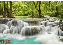 Tranh Thác Nước TN231