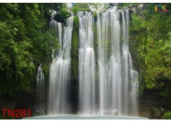 Tranh Thác Nước TN281