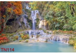 Tranh Thác Nước TN114