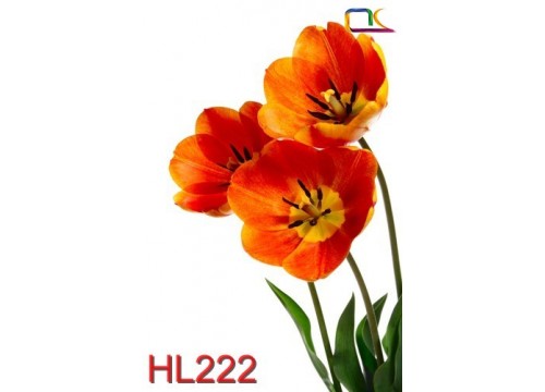 Tranh Hoa Lá HL222