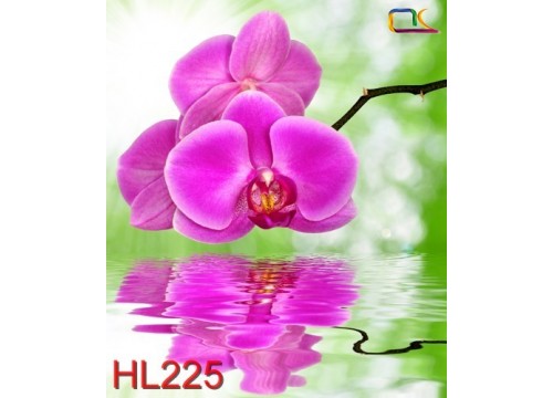 Tranh Hoa Lá HL225