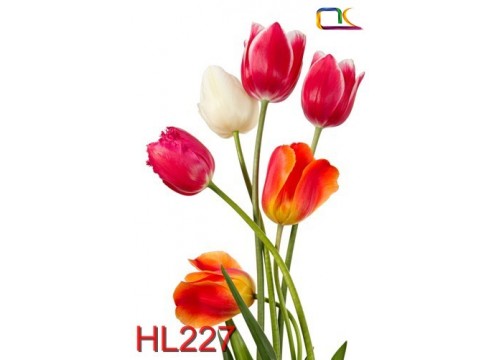 Tranh Hoa Lá HL227