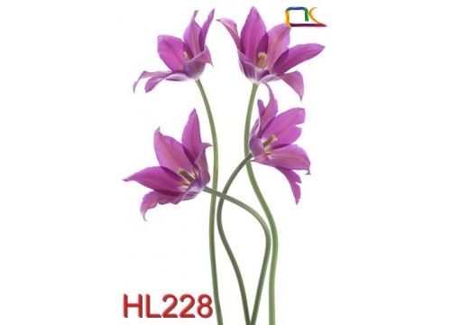 Tranh Hoa Lá HL228
