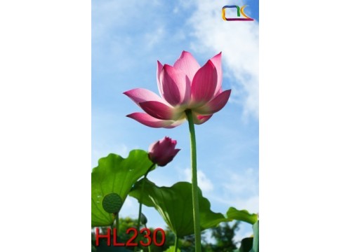 Tranh Hoa Lá HL230