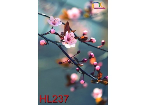 Tranh Hoa Lá HL237