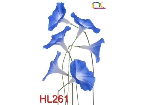 Tranh Hoa Lá HL261