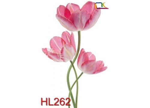 Tranh Hoa Lá HL262