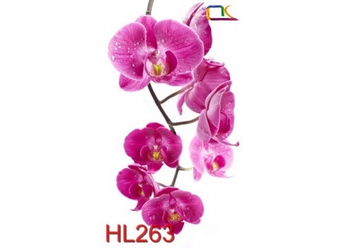 Tranh Hoa Lá HL263