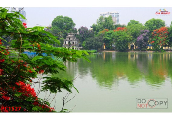 Tranh Phong Cảnh PC1527