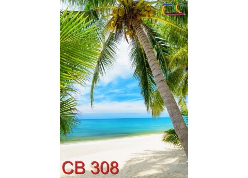  Tranh Cảnh Biển CB308