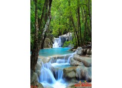 Tranh Khổ Dọc